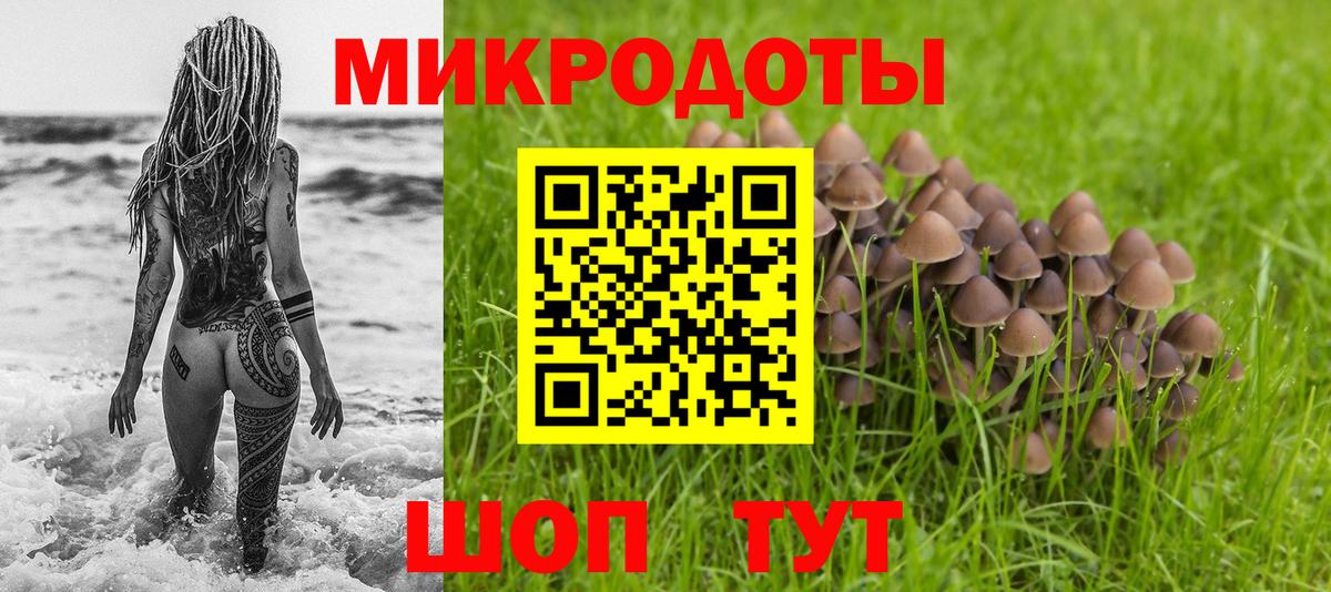 Псилоцибиновые грибы Psilocybe Борисоглебск